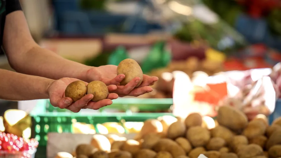 Inflation rate continues to rise in Germany