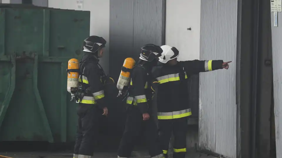 Vídeo. Fogo deflagra em fábrica de pellets e paletes de madeira em Leiria