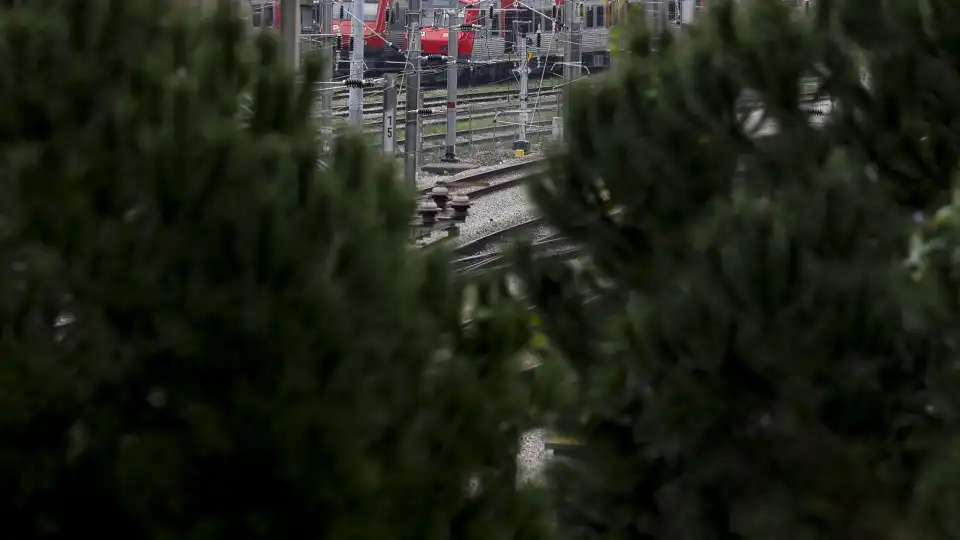 Greve na CP suprimiu 127 comboios até às 10h, sobretudo Urbanos do Porto