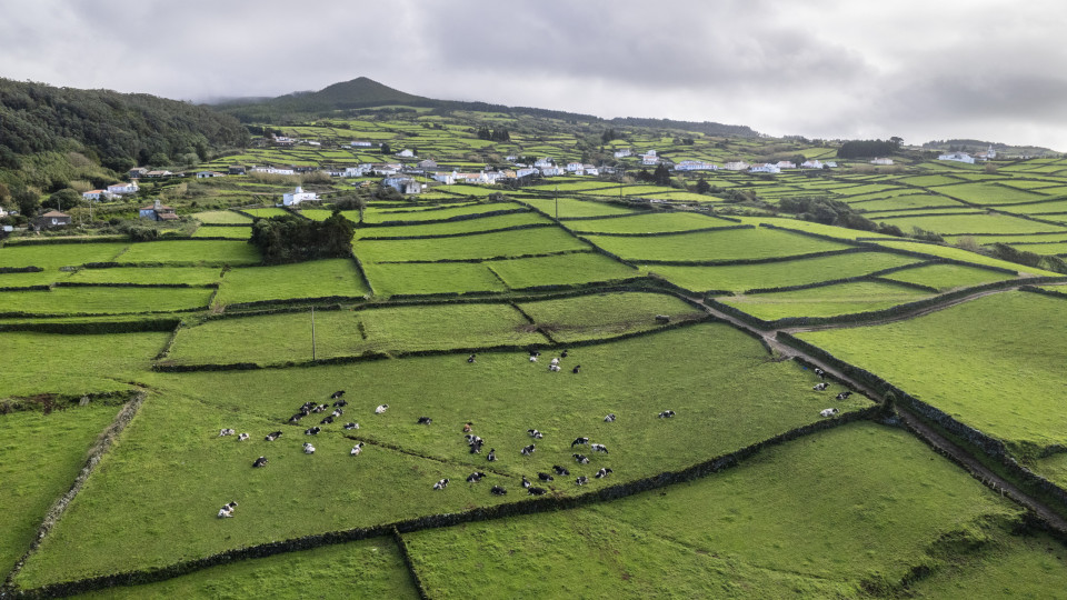 Quatro sismos sentidos na ilha Terceira no intervalo de sete minutos