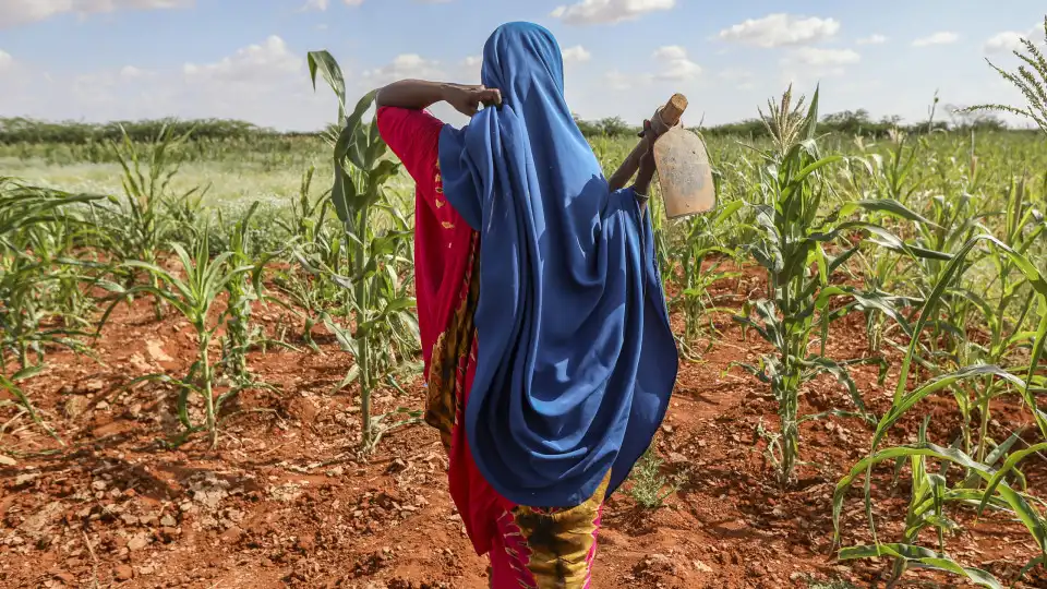 Fome pode agravar-se na Somália à medida que se aproxima fenómeno La Niña