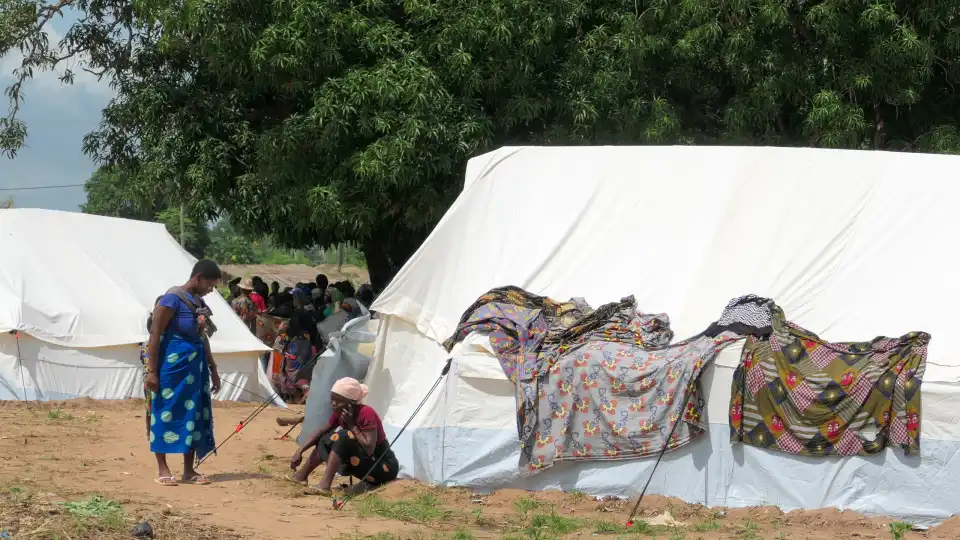 CNE "bastante preocupada" com insegurança em Cabo Delgado