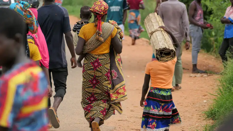 Camponeses começaram a regressar aos campos em Cabo Delgado