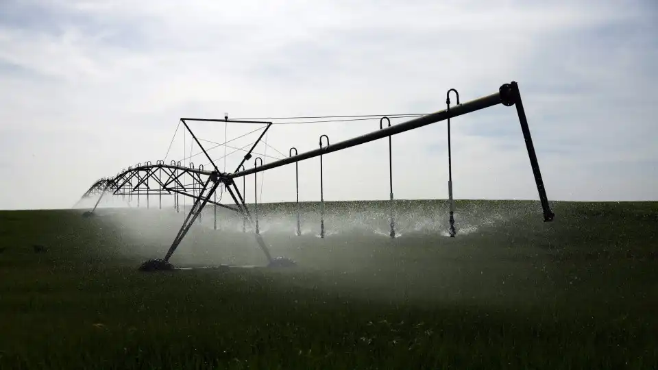 Agricultores contra cortes no Alqueva para quem exceder limites de rega