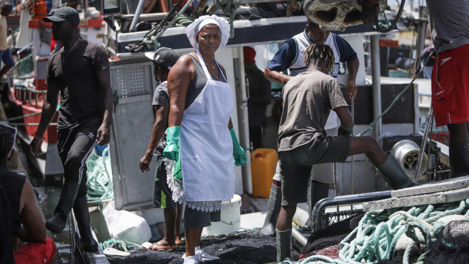 Cabo Verde celebra 1.º Dia das Peixeiras reconhecendo muito sacrifício