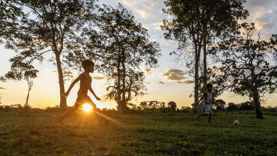 Brasil regista em 2023 número mais baixo de sempre de trabalho infantil