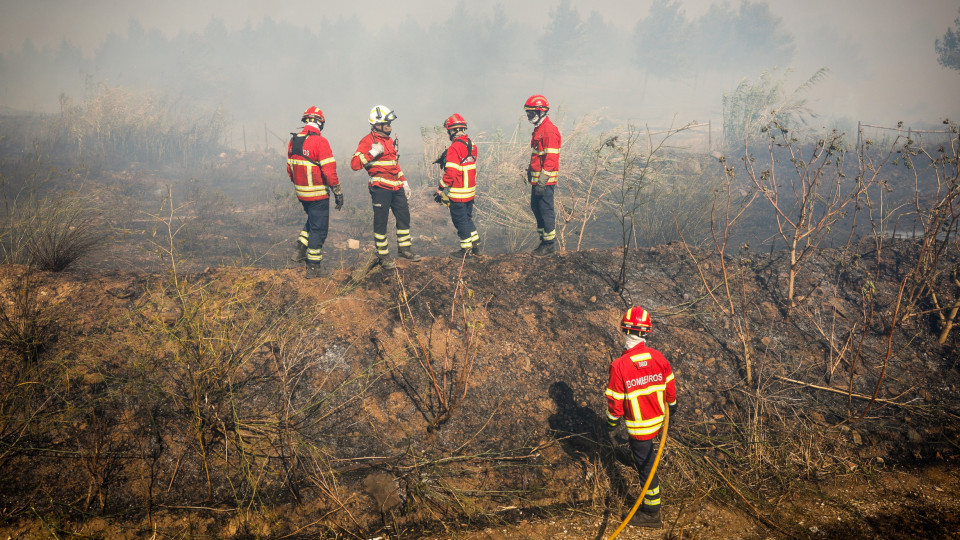 Três incêndios em Leiria e Batalha mobilizam mais de 300 operacionais