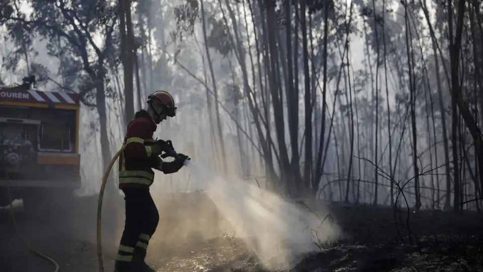 Dois fogos mobilizam 274 operacionais e 12 meios aéreos na Guarda