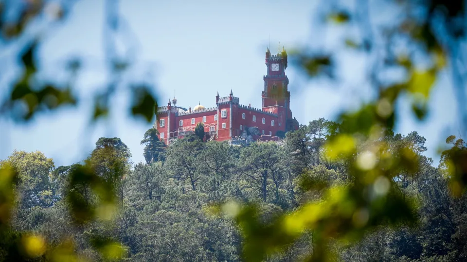 Sintra. 30 anos como Património Mundial com visitas noturnas aos palácios