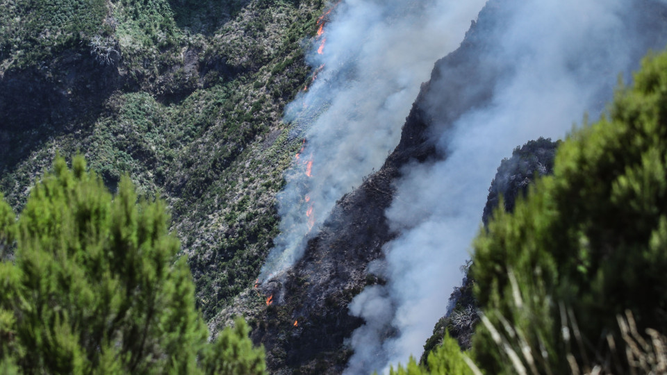 Incêndio na Madeira segue ativo na cordilheira central e na Ponta do Sol