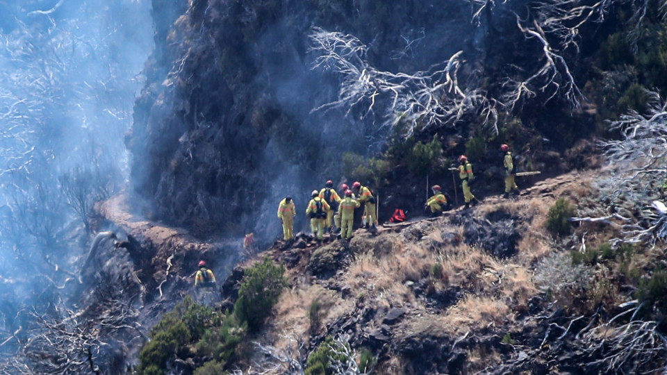 Área ardida no incêndio da Madeira ultrapassou 5.100 hectares