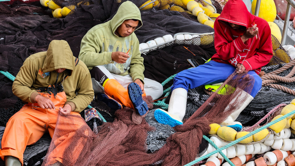 Como os indonésios estão a salvar a pesca portuguesa