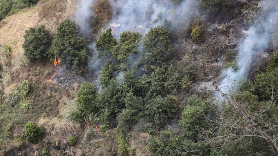 AGIF disponível para integrar Madeira no plano de gestão de fogos