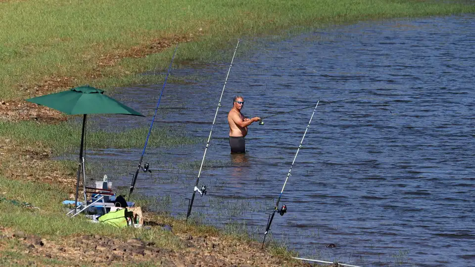 Pescadores lúdicos têm de registar capturas em aplicação a partir de 2026