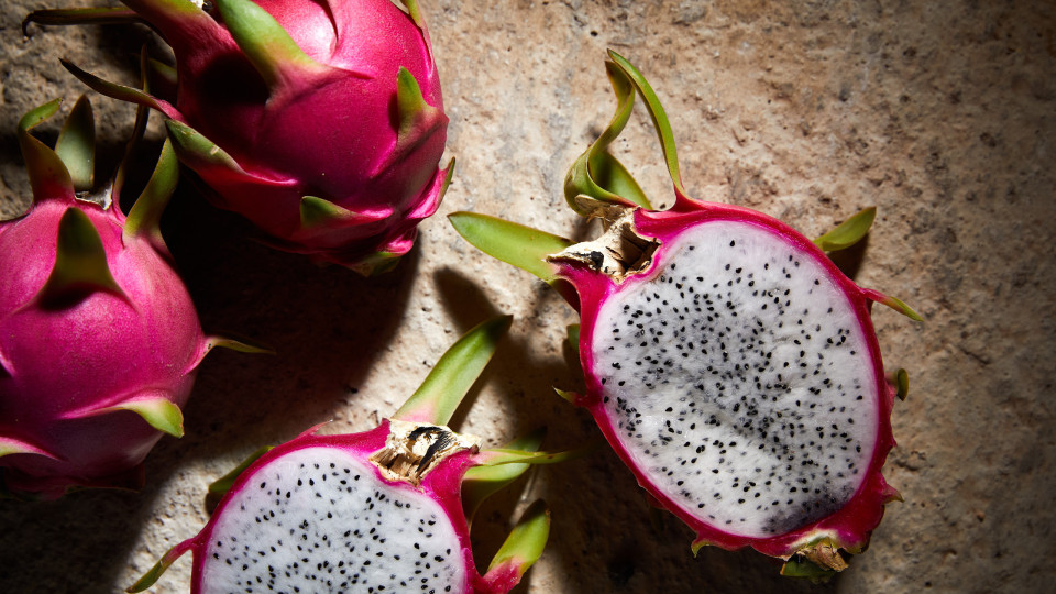 Pitaia é fruto em que produtores algarvios estão a apostar cada vez mais