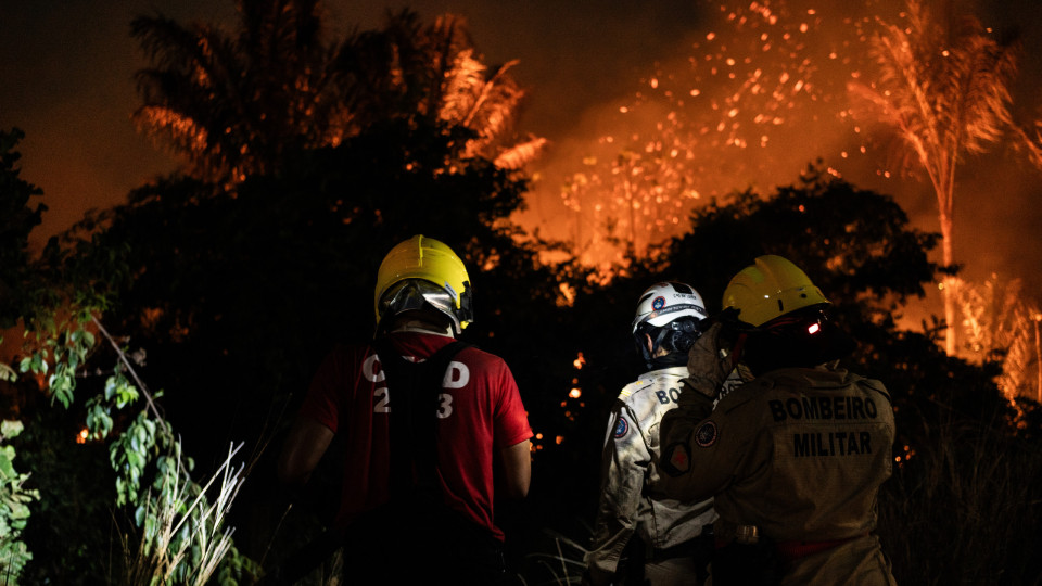 Incêndios cresceram 149% em agosto no Brasil