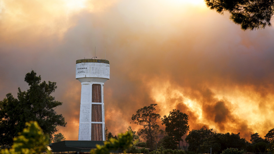 Autarca diz que fogo destruiu 230 hectares de mato no Seixal