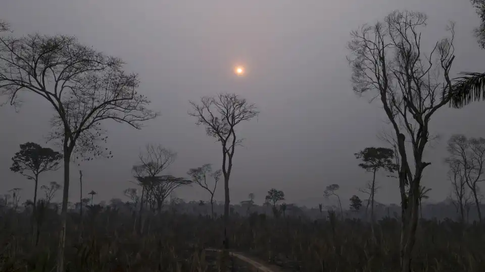 Brasil regista mais focos de incêndio que em todo ano de 2023