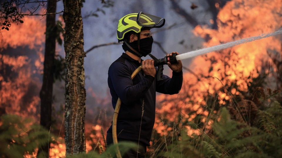 Cinco fogos no distrito de Aveiro mobilizam mais de 1.200 operacionais