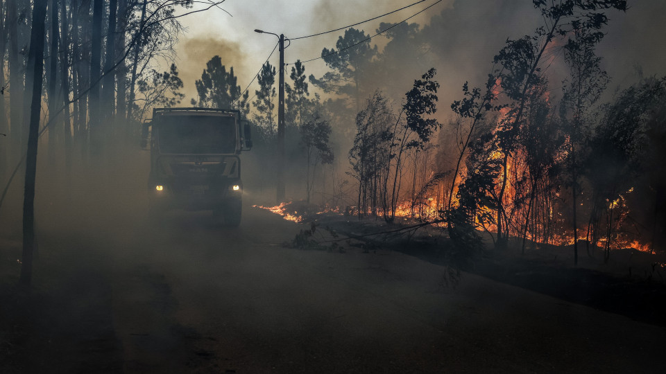 Dois mortos em incêndios de Sever do Vouga e Albergaria-a-Velha