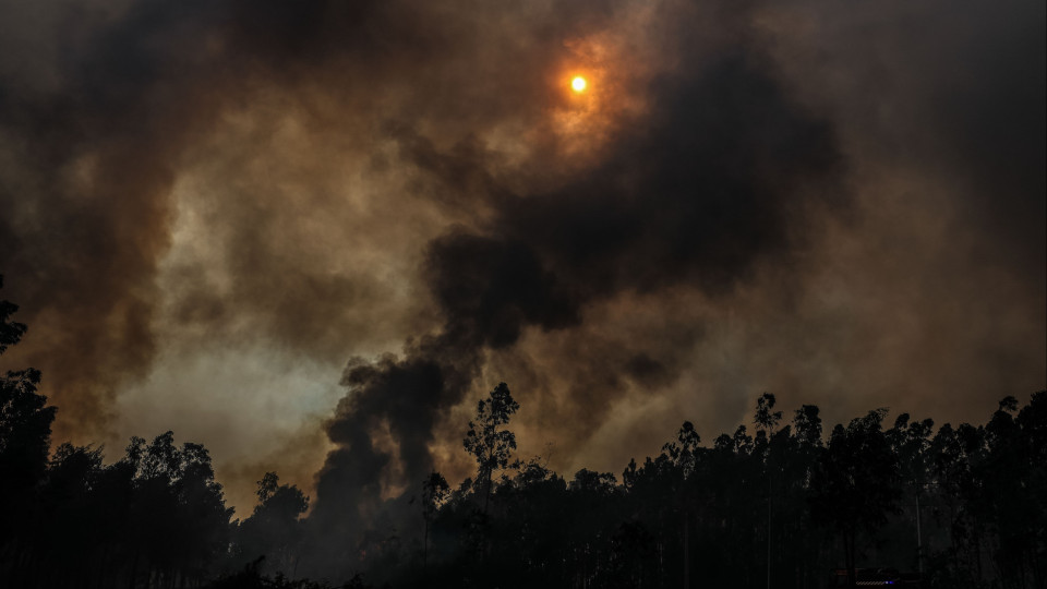 Autoestrada 13 em Coimbra cortada ao trânsito devido aos fogos