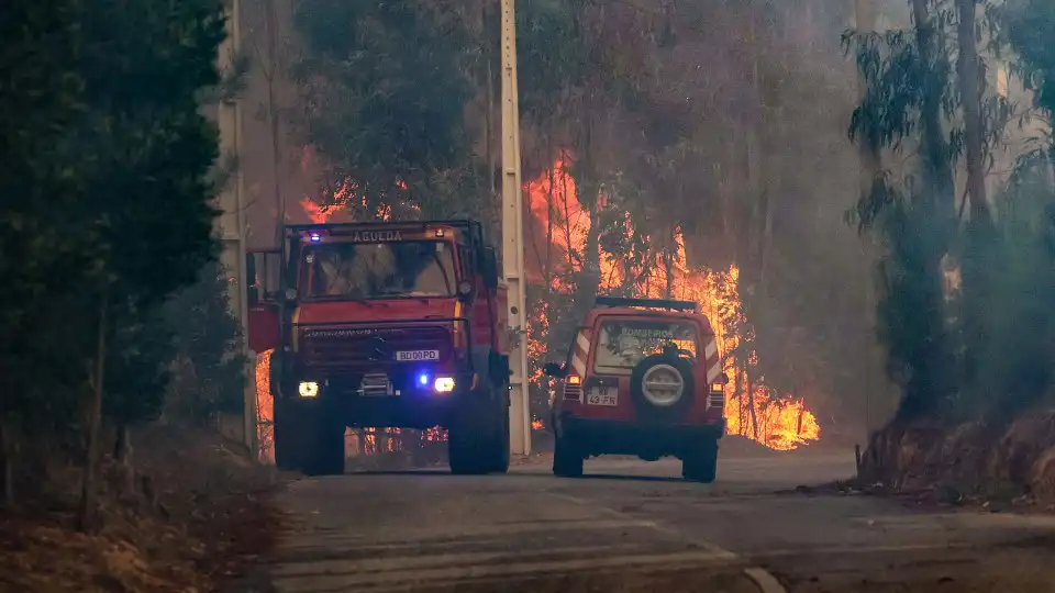 Mais de 270 operacionais combatem fogo no concelho de Castelo Branco