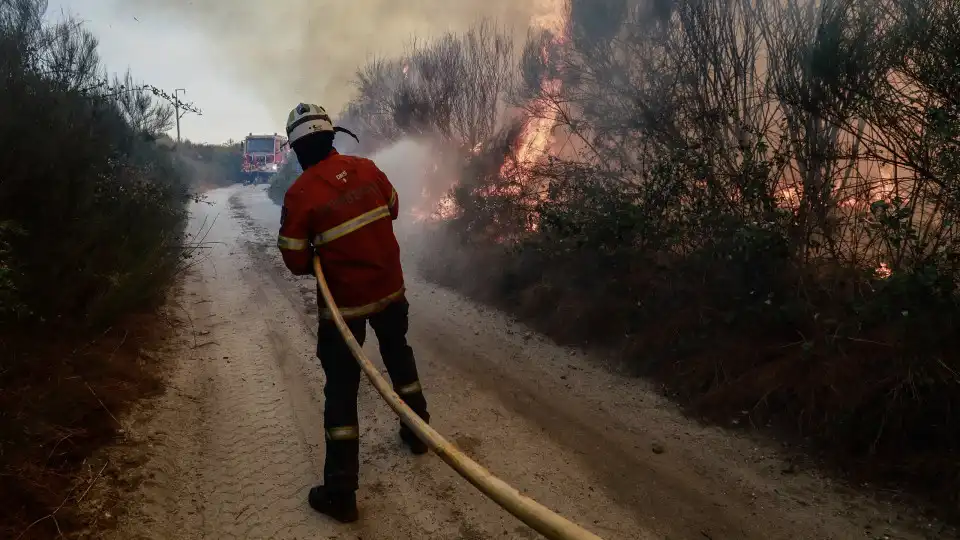 Prejuízo superior a 1,5 milhões de euros devido aos incêndios em Nelas