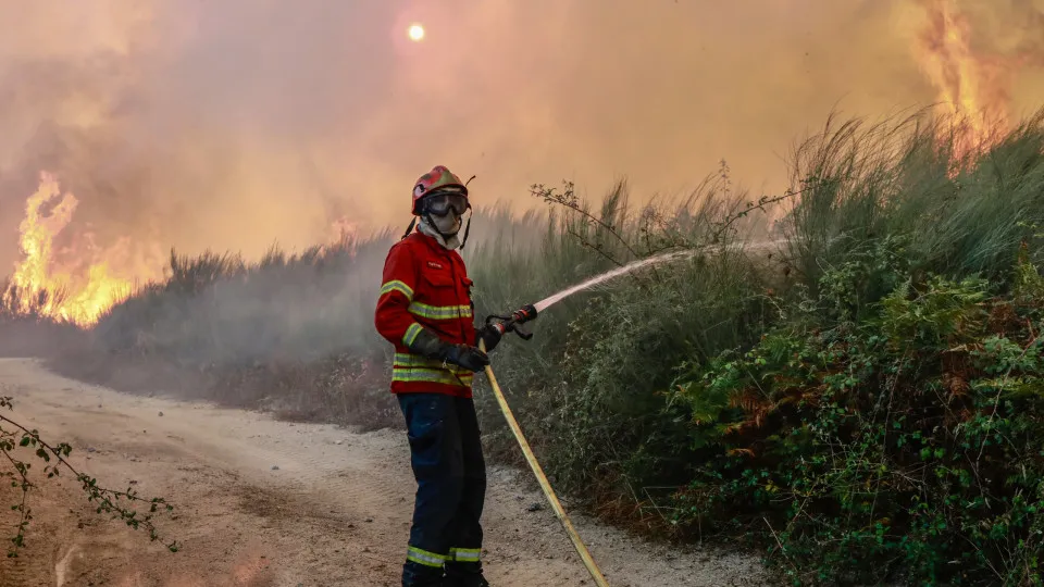 Forest fire in Nelas