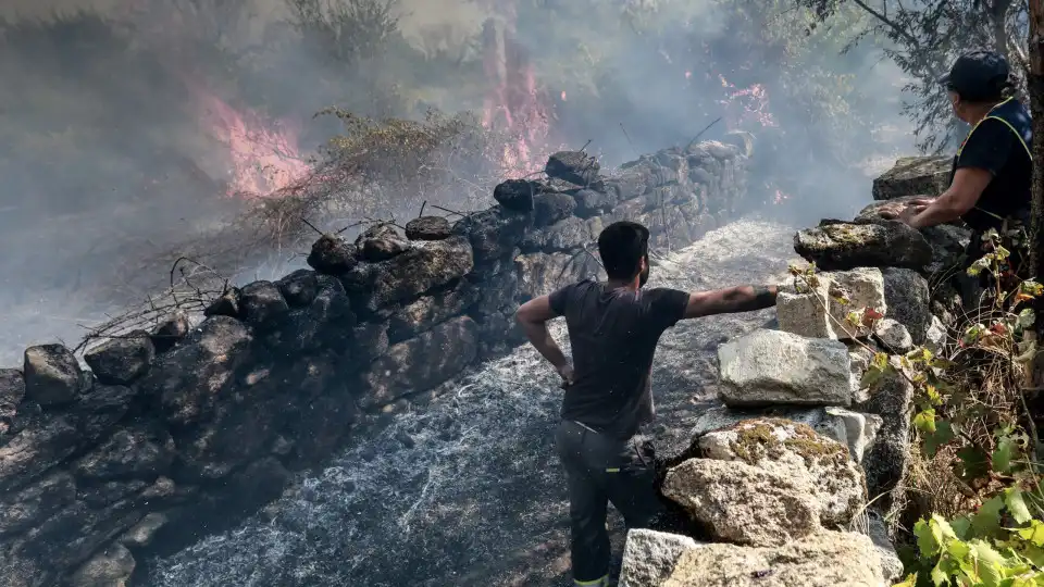 Empresas agrícolas e casas destruídas pelo fogo em Mangualde