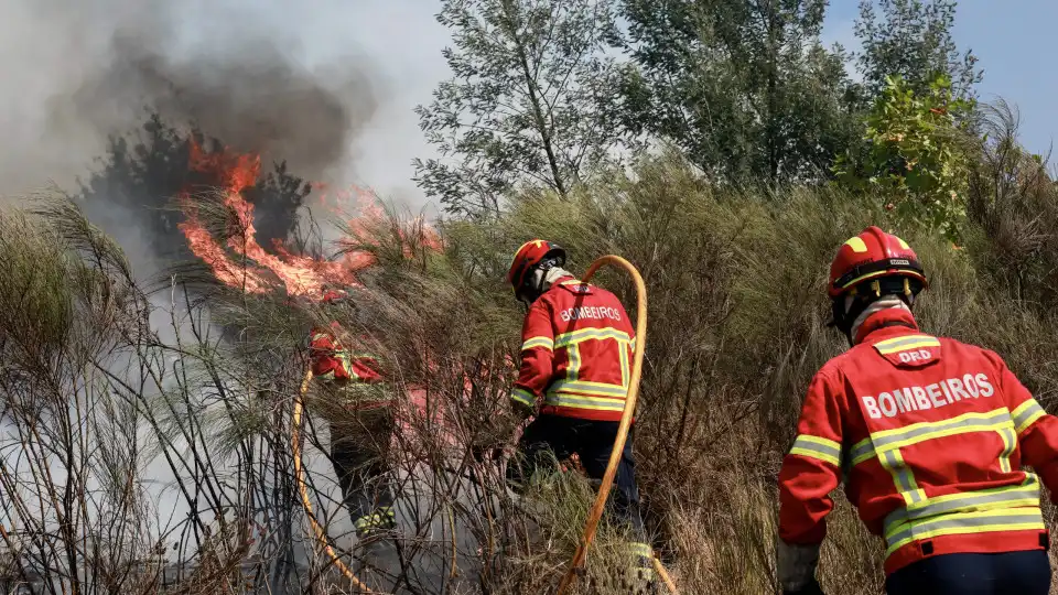 Mais de 5.300 bombeiros envolvidos no combate a incêndios em todo o país