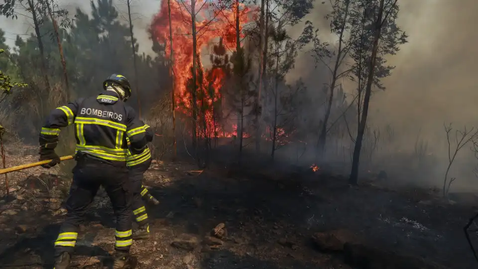 Mais de 1.500 operacionais combatiam às 12h oito fogos significativos