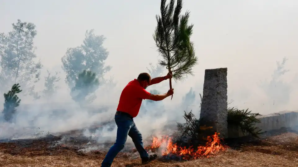 Sete mortos e 62 deslocados em 25 concelhos afetados pelos fogos