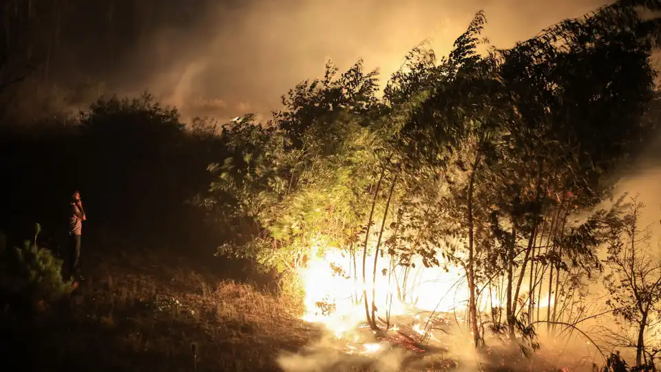 Águeda. Vento complica combate ao fogo e situação volta a descontrolar-se