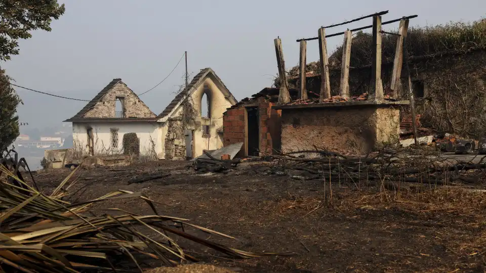 Protestos contra incêndios marcados para hoje em 12 localidades