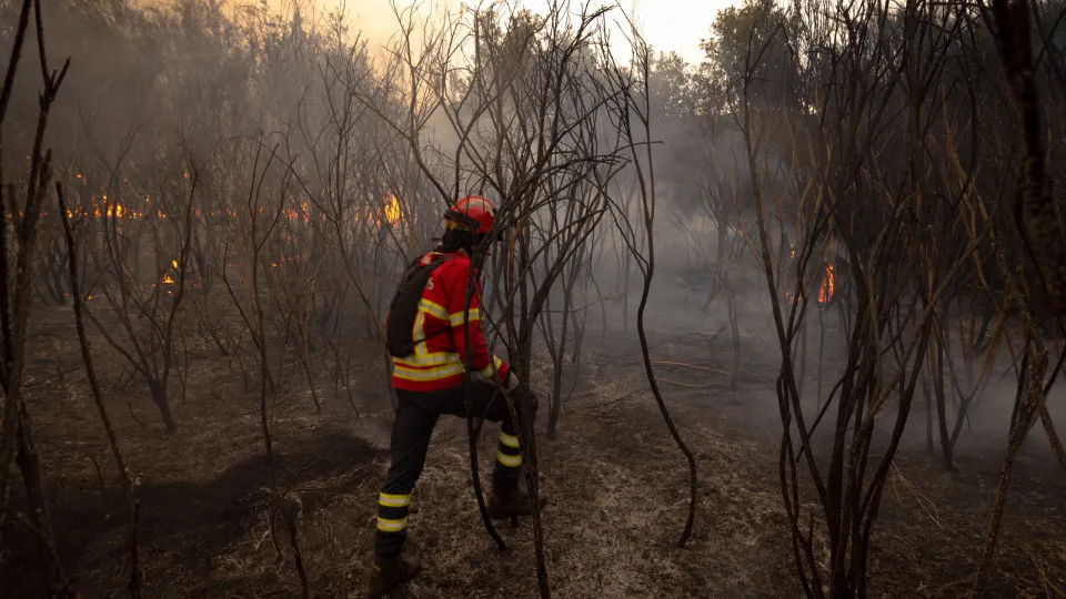 Fogos de Peso da Régua e de Alijó em resolução