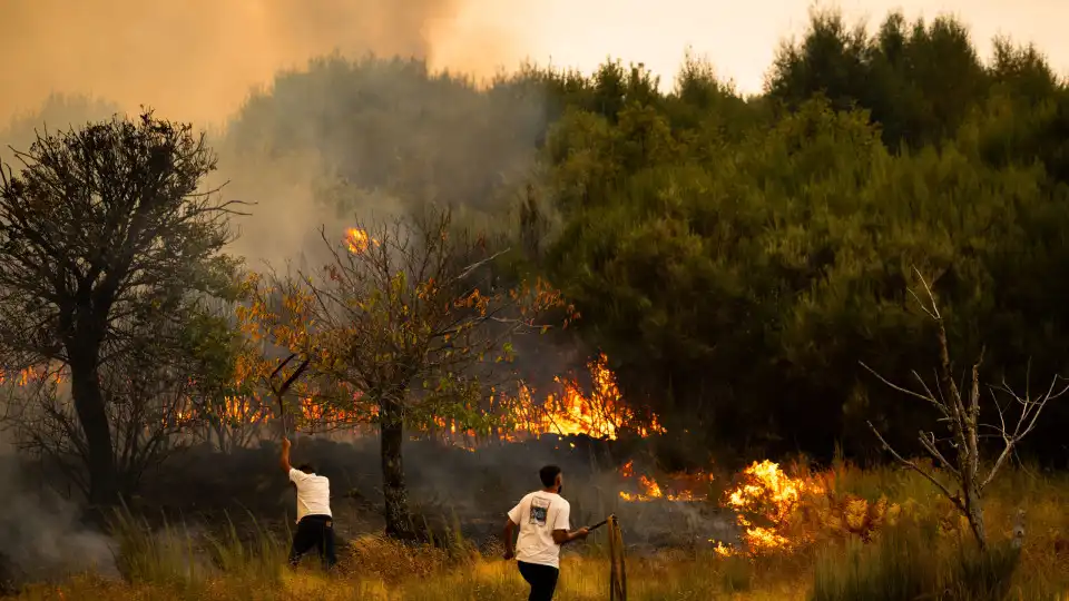 Mais de 80 incêndios às 00:00 combatidos por cerca de 3.700 operacionais