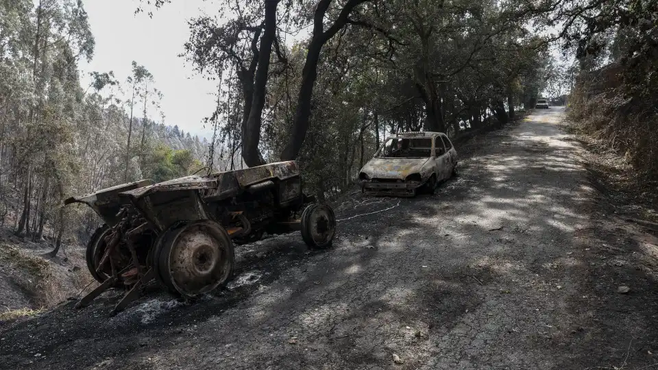 Incêndios. Agricultores do Norte já declaram 1,4 milhões de prejuízos