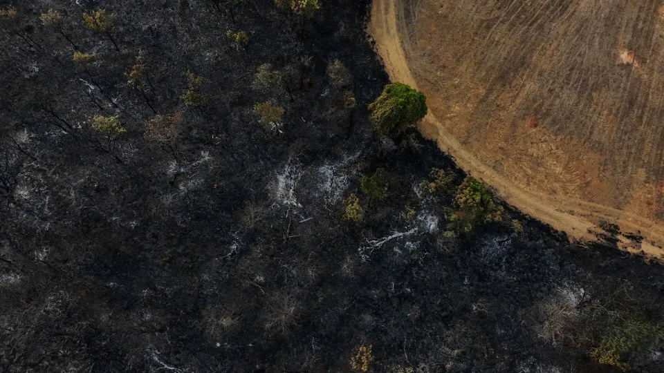 Brazil's environmentalist candidates defend sustainability in municipal elections amid severe drought