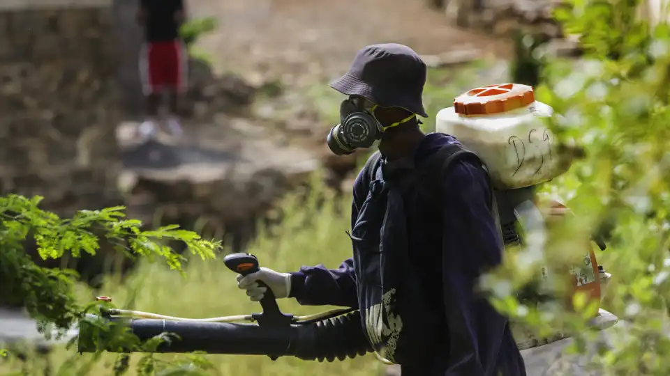 Um dia na brigada anti-mosquito de Cabo Verde, retrato de uma luta global