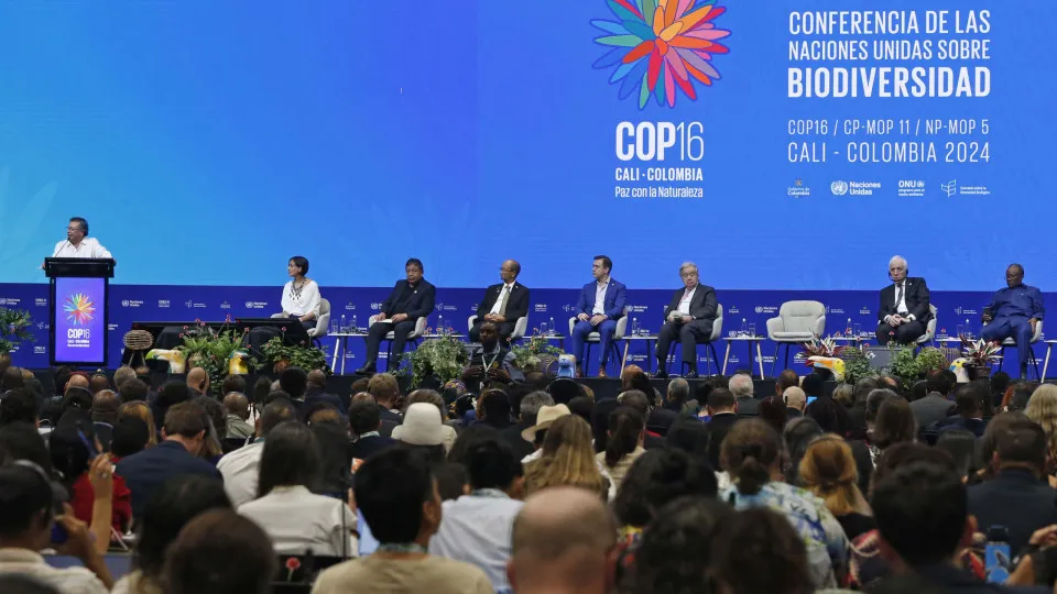 COP16. Acordo sobre fundo para partilhar benefícios de recursos genéticos