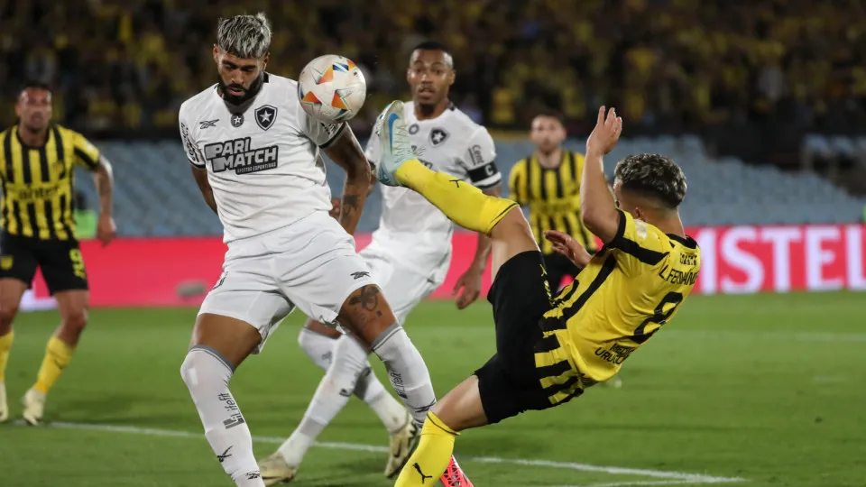 Botafogo, de Artur Jorge, apura-se para a final da Taça Libertadores