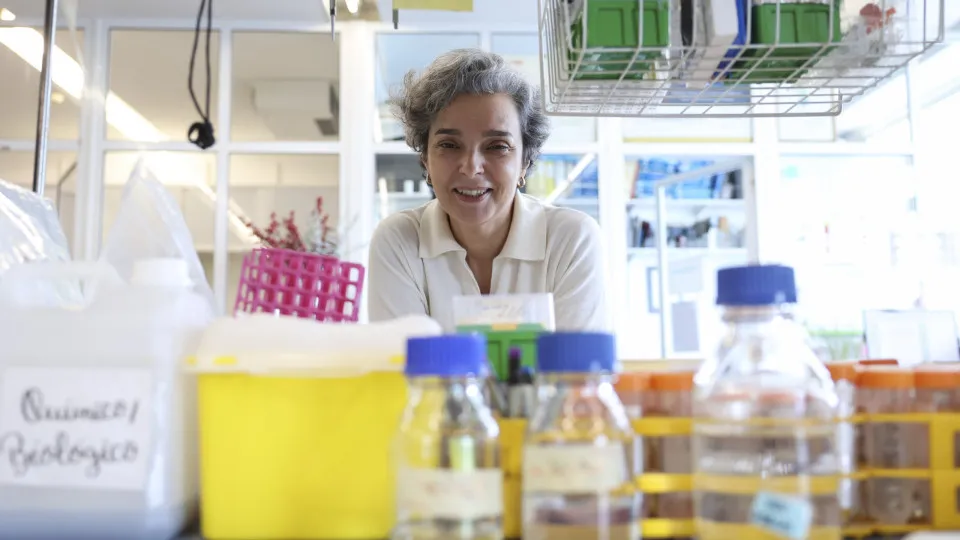 Entrevista: Professora Maria Mota, no âmbito do congresso da APDC