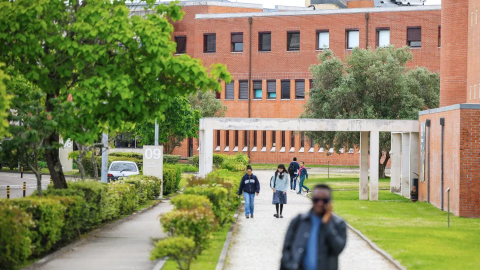 Portugal recebe mais 351 estudantes moçambicanos no Ensino Superior