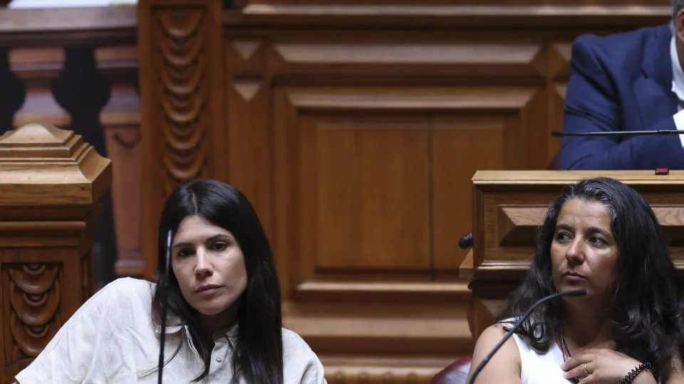 Parlamento: Sessão plenária
