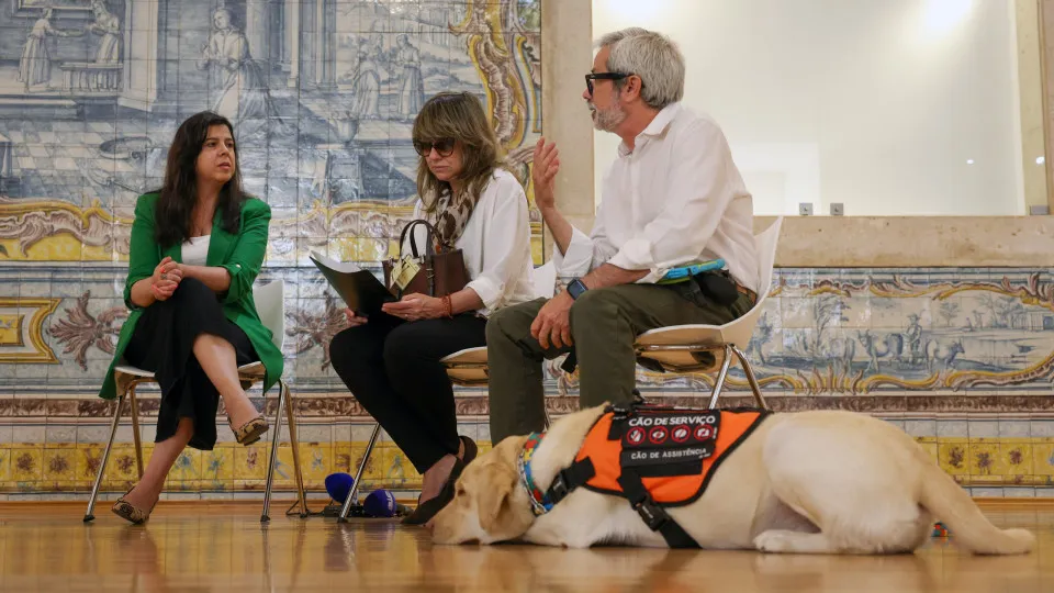 PAN: Inês Sousa Real recebe família e cão de apoio emocional "Teddy"