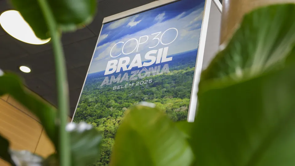 Flotilha vai do Equador ao Brasil para denunciar excessos na exploração florestal
