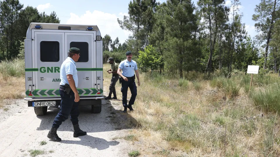 REPORTAGEM: Falta de meios e de mão-de-obra dificulta limpeza na proteção da floresta em Vila Nova de Paiva