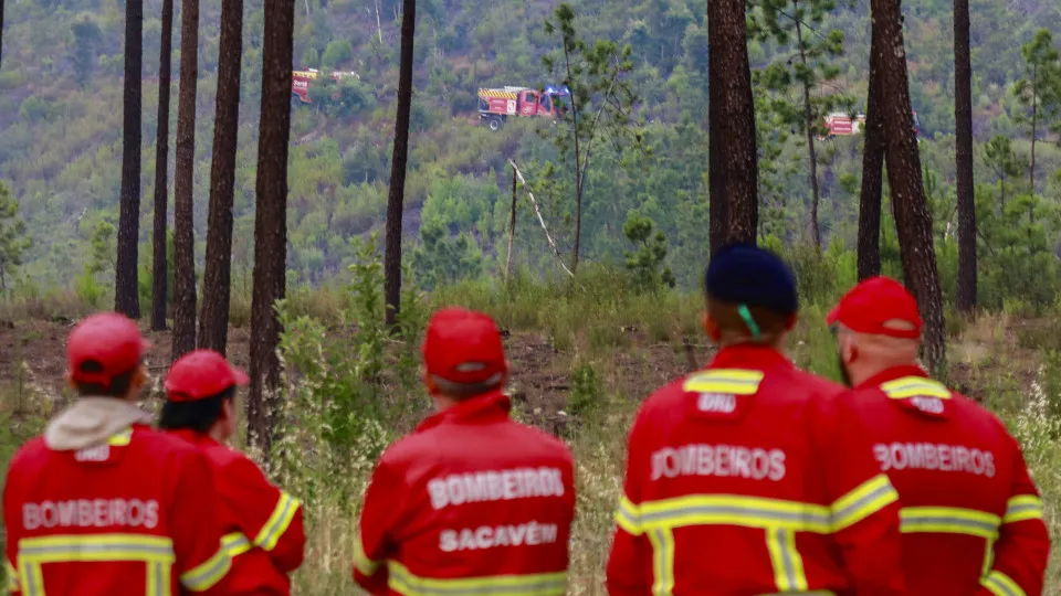 Forest fire in Castelo Branco district near Almeceda and Padrao