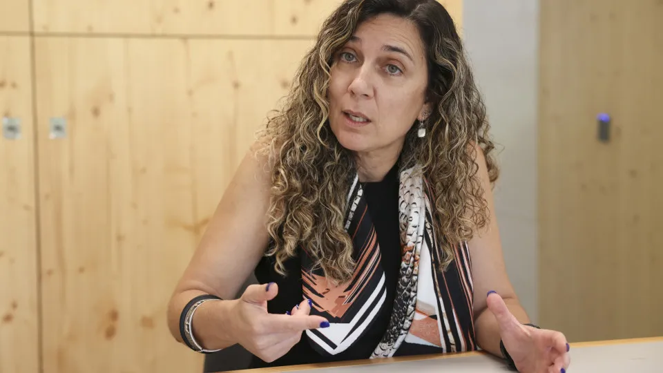 Entrevista à investigadora do ISCTE Catarina Santos