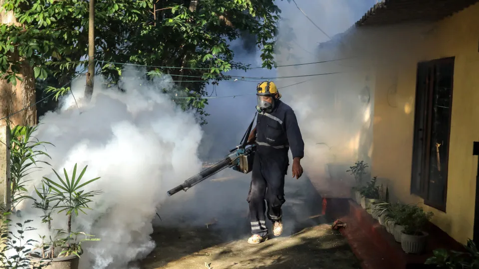 Sri Lanka registers increase in dengue and chikungunya cases